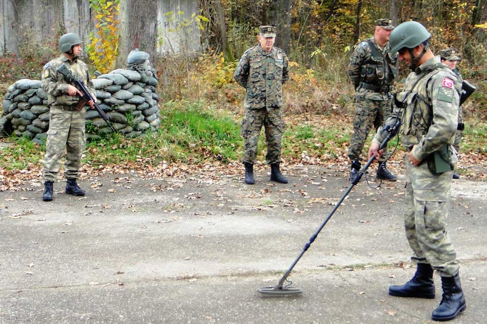 Combined training between the Multinational Battalion and AF BiH
