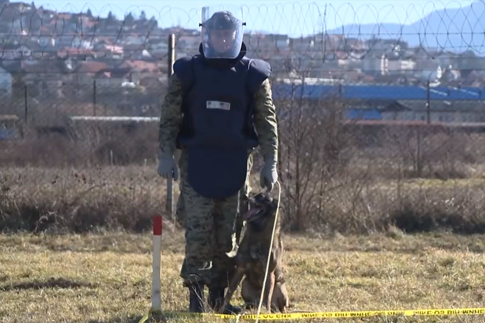 EUFOR and Demining Battalion of AFBIH: For a Mine Free Bosnia and Herzegovina
